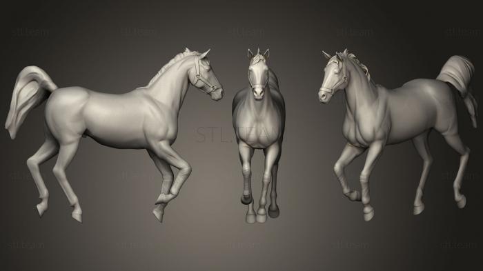 3D model Horse 0293 (STL)
